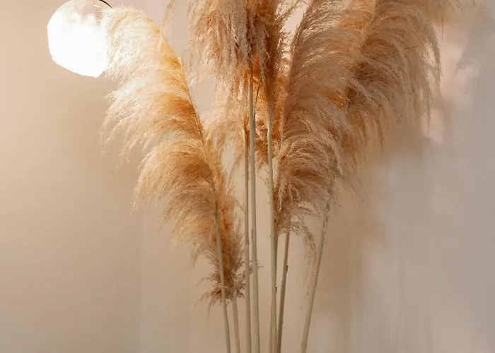 Apartmán Spalato Split